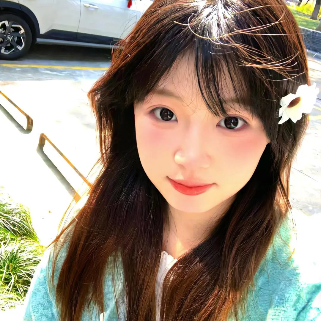 霍莉